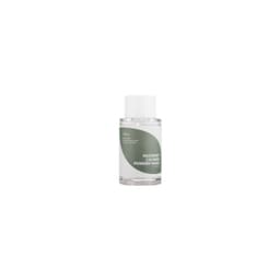 Isntree - Mugwort Powder Wash - 15g