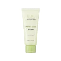 BRING GREEN - Artemisia Calming Ex Water Cream - 100ml